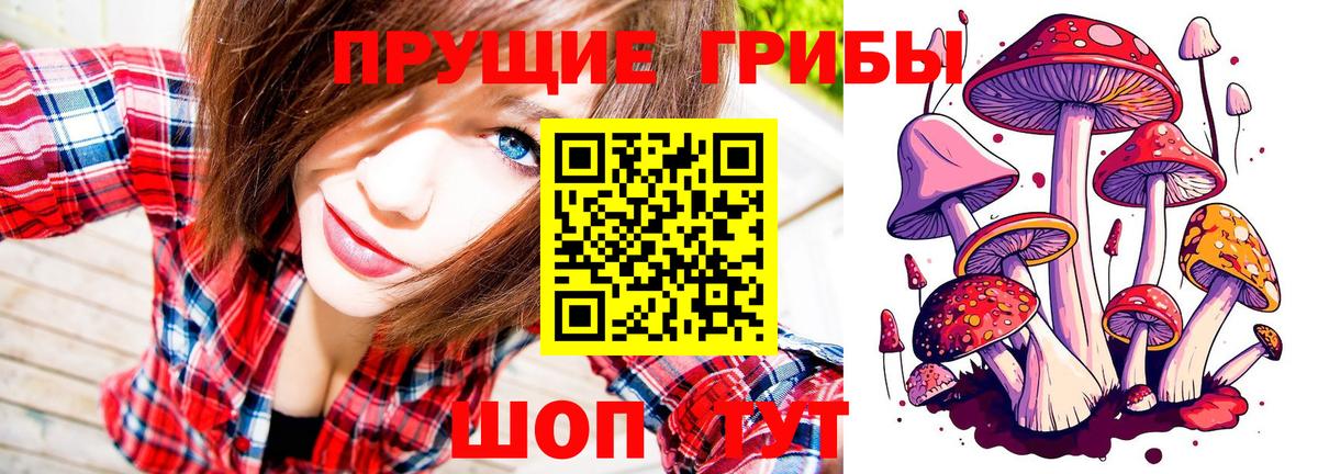 Галлюциногенные грибы мухоморы Балабаново