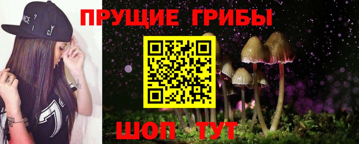 Псилоцибиновые грибы Cubensis  Вход с VPN  Псилоцибиновые грибы Magic Shrooms  Балабаново 