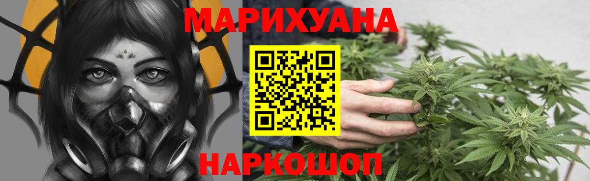 Конопля конопля Балабаново